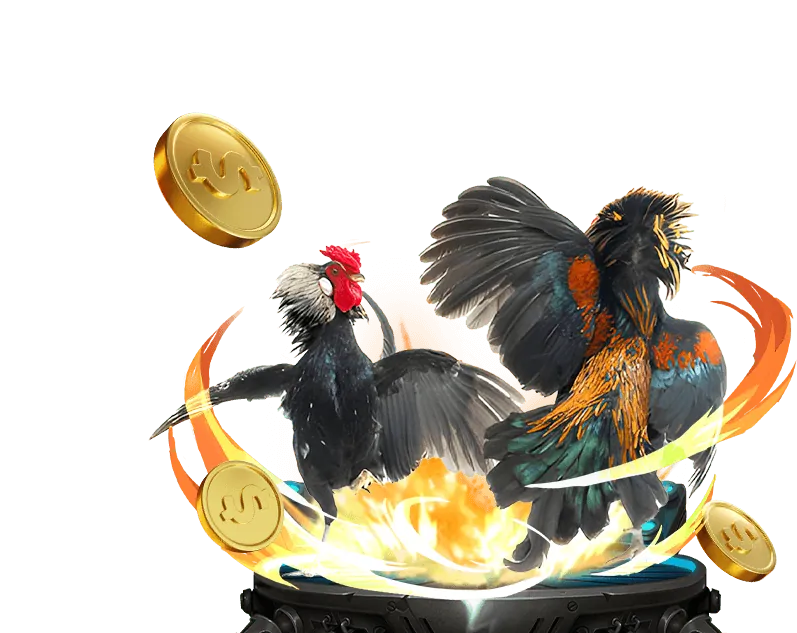 Hoàn Trả Tiền Cược kt66vip